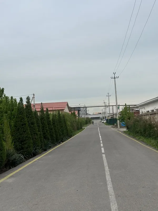Srochno sotiladi 10 sotok yer Bogizor kocha Zangiota rayon — фото 3