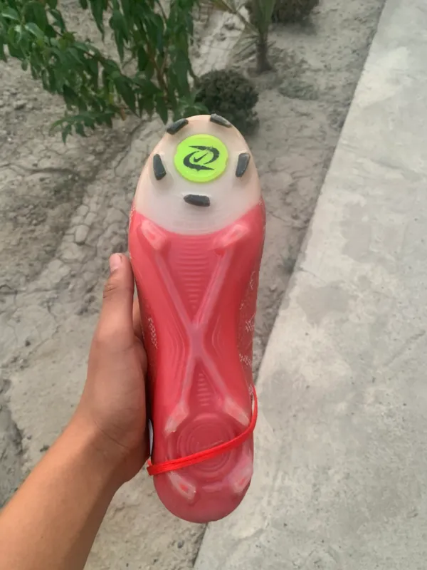 Butsi 2 Butsi 2