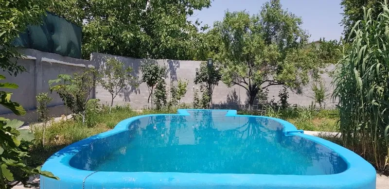 бус тонликда дача — фото 1