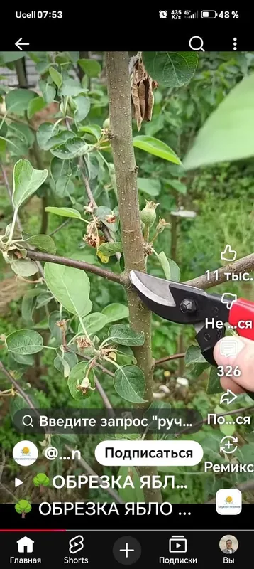 Все садовые работы