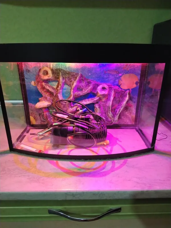 Akvarium 20 litr 2