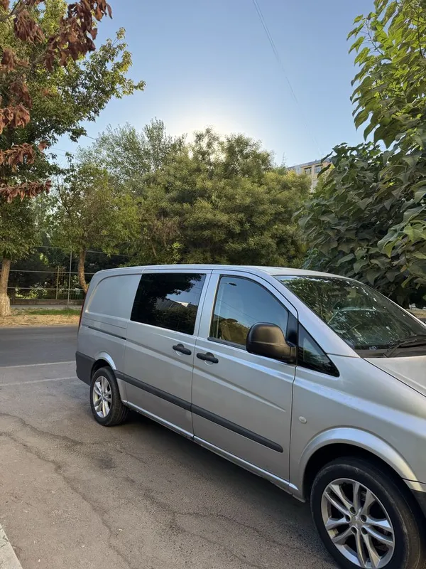 Moshina Mercedes Vito — фото 2