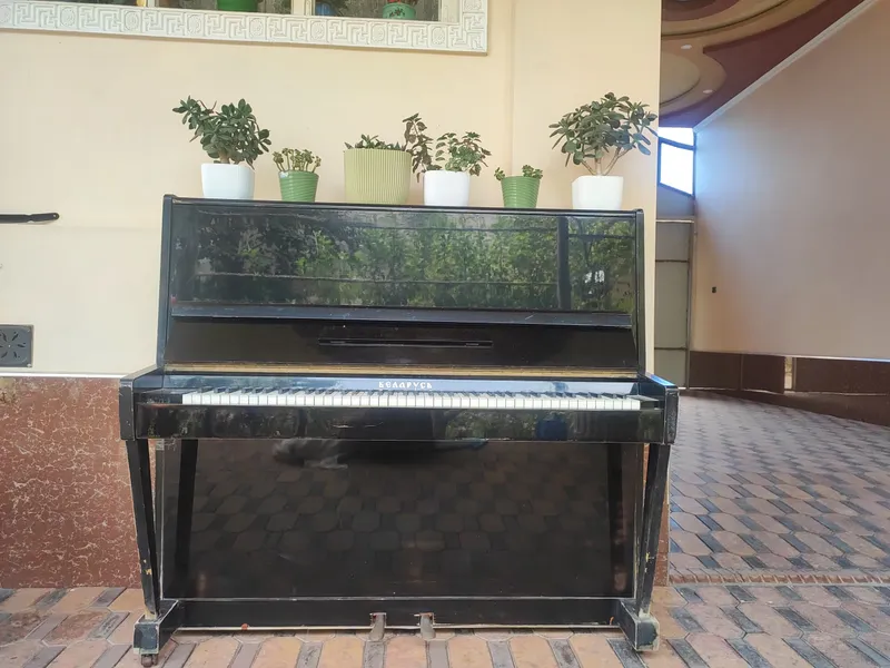 Пионино, Белоруссия, 2 Пионино, Белоруссия, 2