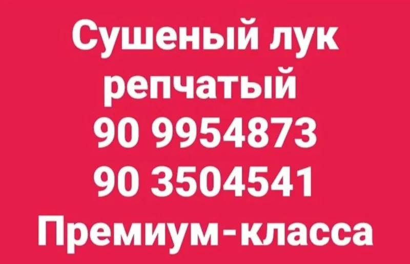 Пиёз куритилган Олий нав 10