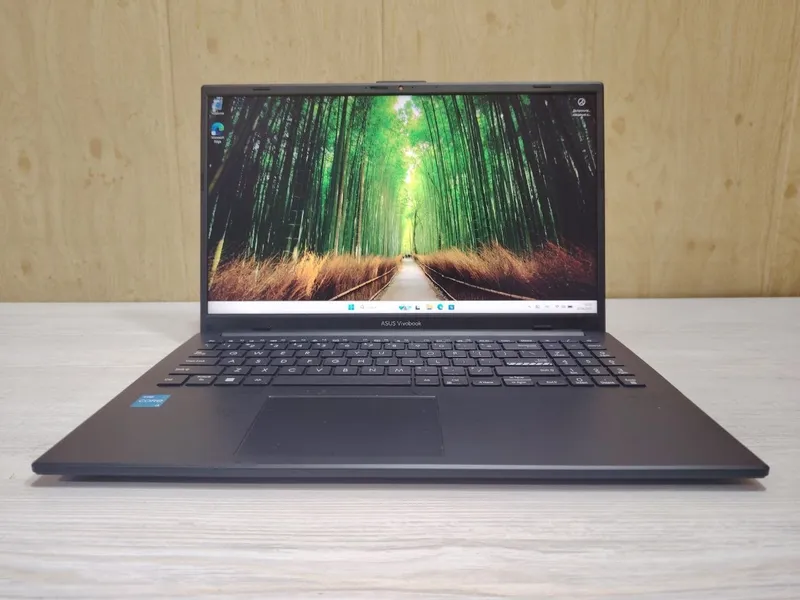 ASUS Vivobook Go 15 (ноутбук)