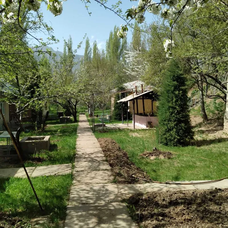 Продается дача 38 сот в горах Хумсан — фото 6