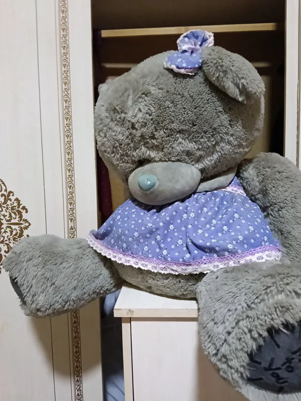 Teddy 1