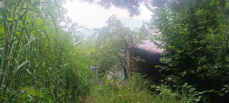 Чарвак дача участок 6,5 соток в центре Чарвака кадастра, дом бассейн — фото 9