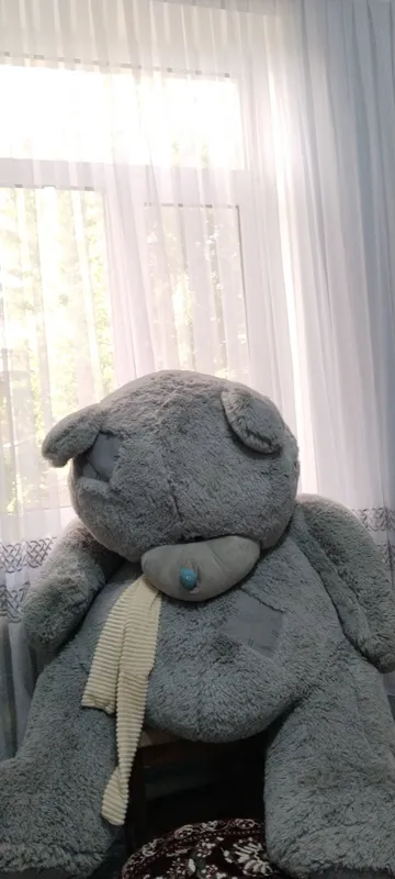 teddy ayiqcha (deyarli odam boʻyi)