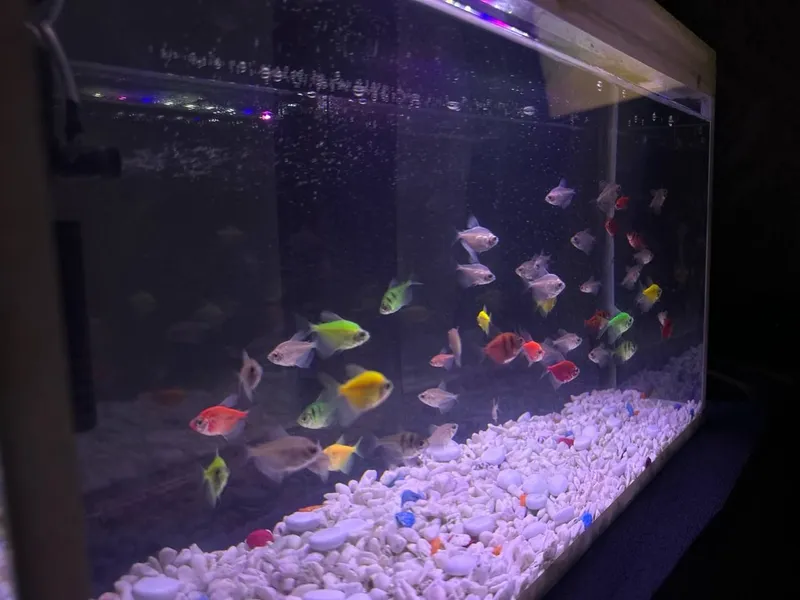 Akvarium full kaplekt 1