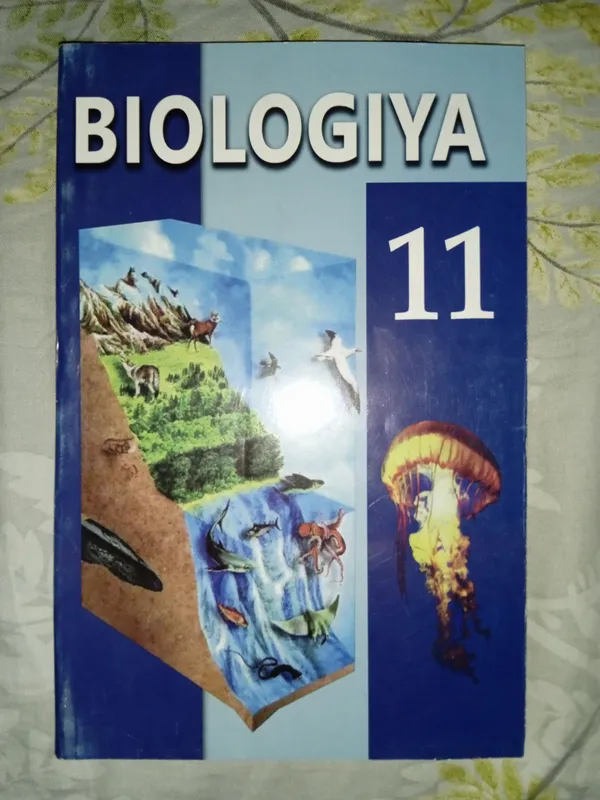 Книга Книга