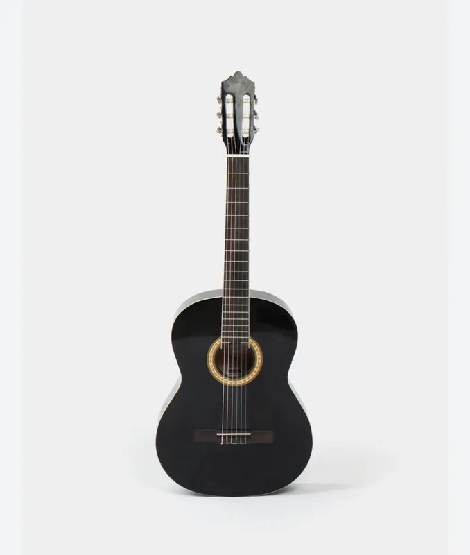 Akustik gitara