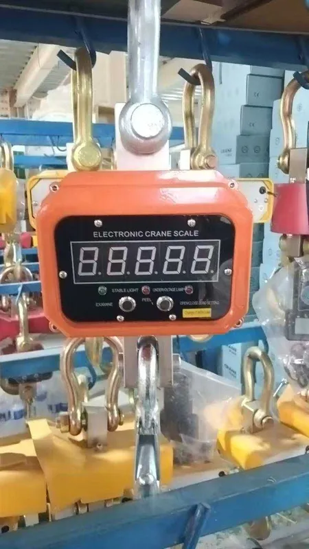 Весы крановые электронные CAPITALE 3T-20T