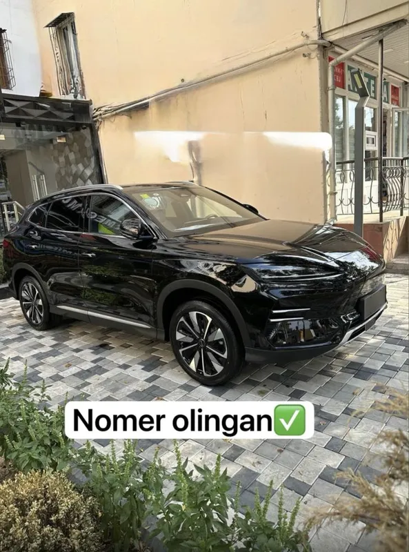 BYD Champion smart 2025