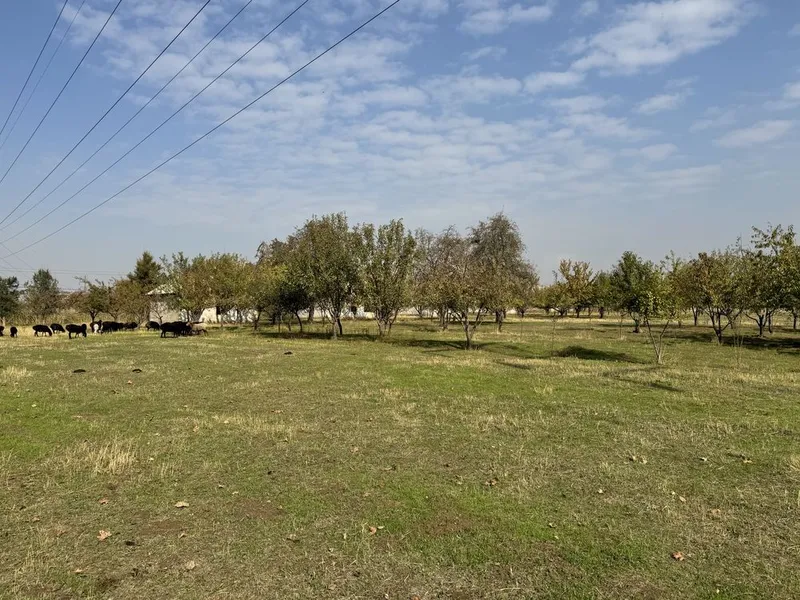 Продается земля под производства в городе Ахангаран 6