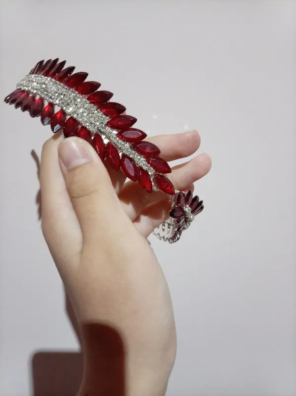 diadema chiroyli va nafis