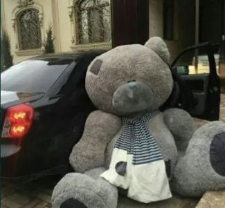 Наши медведи Teddy 1 Наши медведи Teddy 1