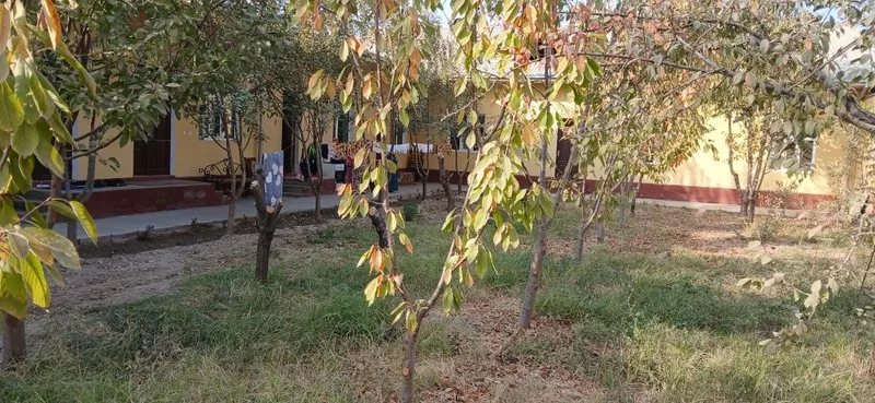Hovli sotiladi 8 sotix 2 Hovli sotiladi 8 sotix 2