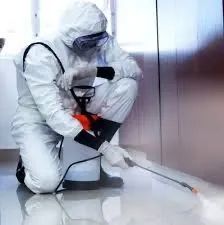 Дезинсекция, с гарантией до 1 года 3