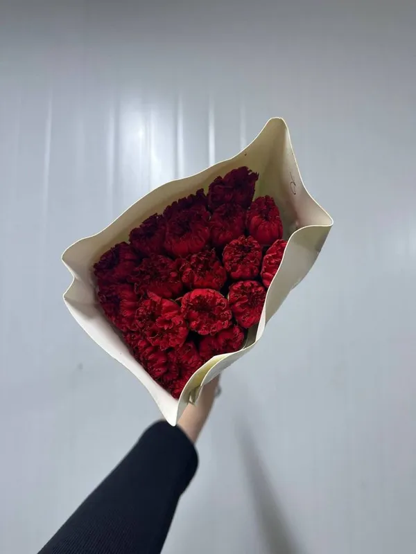 Гвоздика в наличии — фото 4