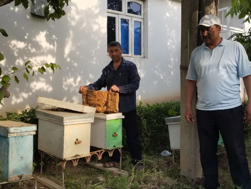 Tabiy asal mahsulotlari 2