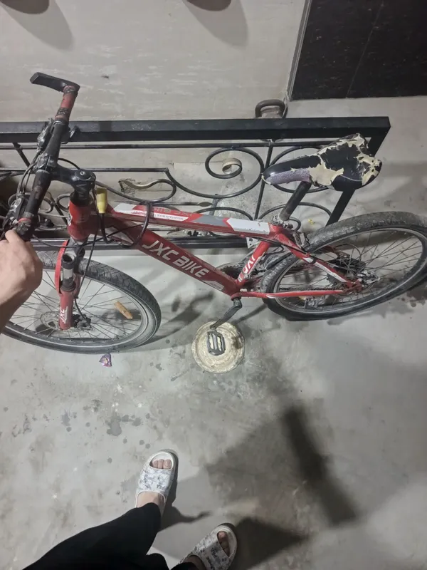Jax Bike Velosiped