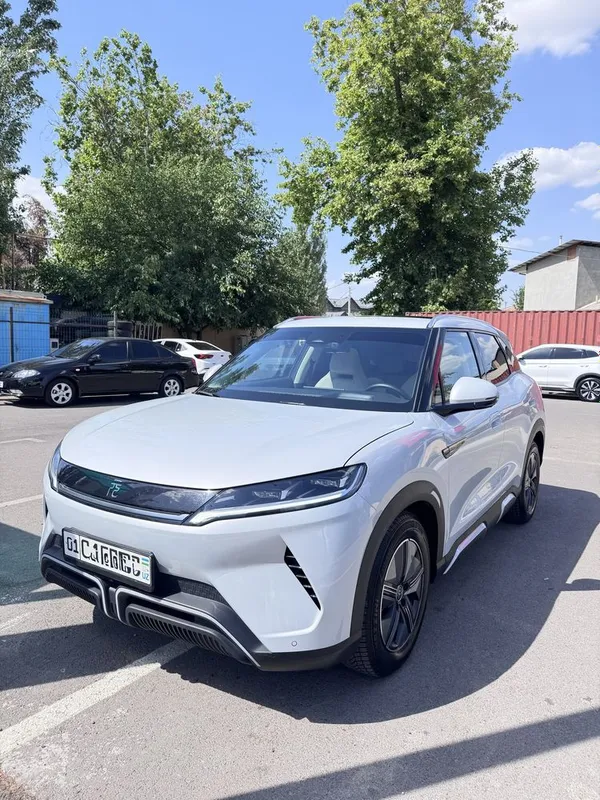 BYD yuan up 2024-yil