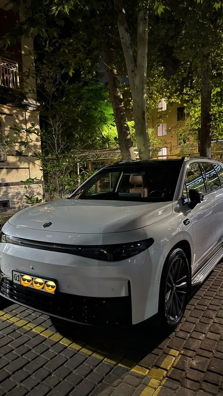 Пассажирские перевозки на LEAPMOTOR C16 (электрокроссовер, 6 мест) 1