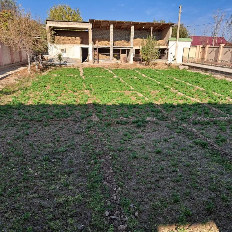 Hovli srochni sotiladi 5 Hovli srochni sotiladi 5