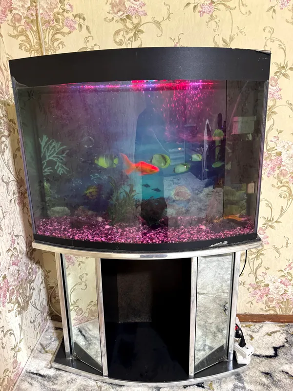 AKVARIUM 150L sotiladi 1