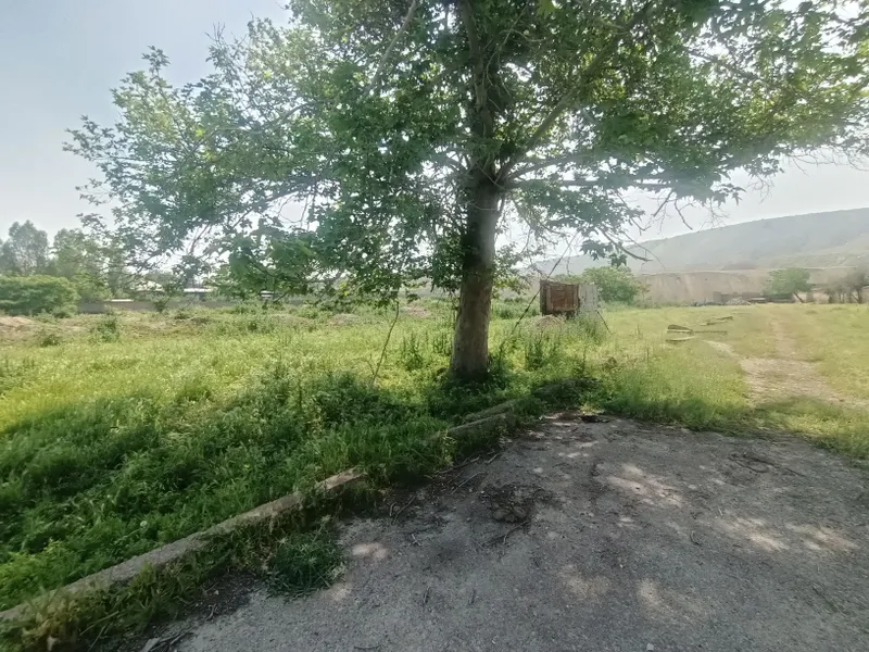 Нотурар жой сотилади — фото 3