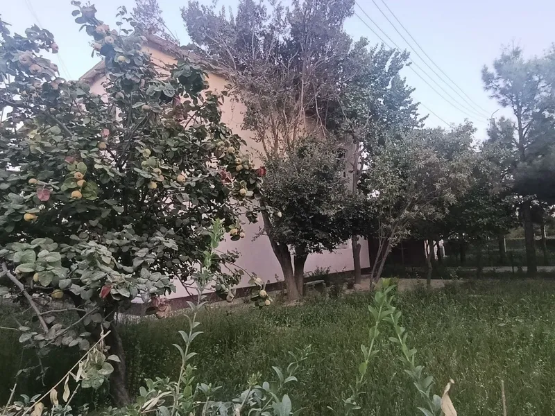 Коттедж сотилади — фото 5