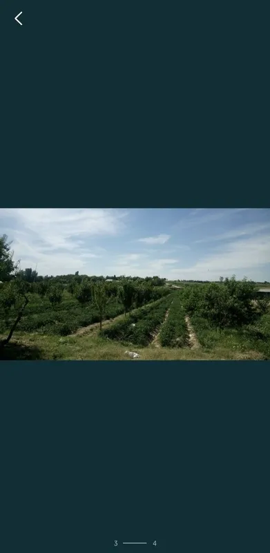 Земельный участок — фото 2