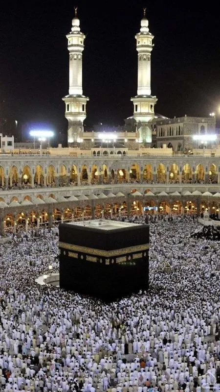 Umra ziyorati "Musaffo Travel" (litsenziyaga ega)