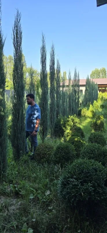 Archalar sotuda italya va mesni bor 3