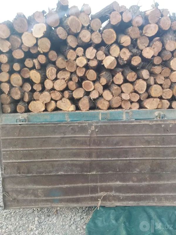 Quruq mevali utin sotiladi! 3 Quruq mevali utin sotiladi! 3