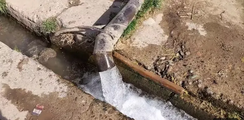 Сдаю в аренду 2