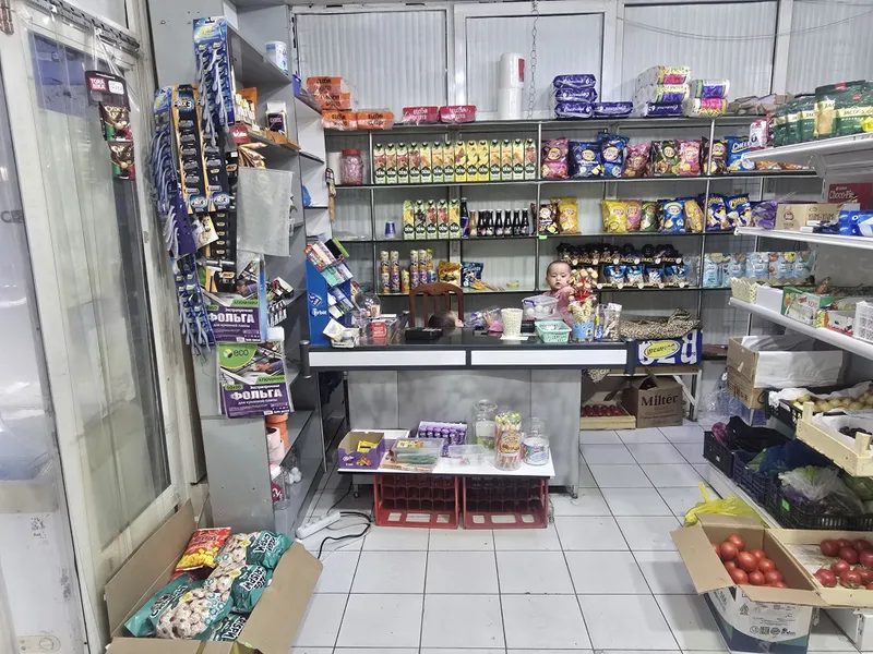 Tayor yurip turgan dokon sotiladi 4