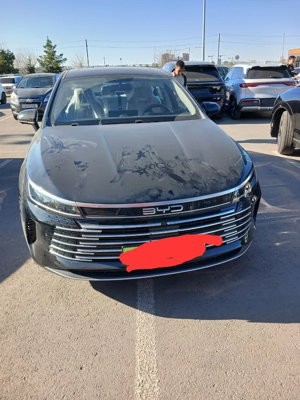 byd chazor 55km 110 mill + 193 mill kredit