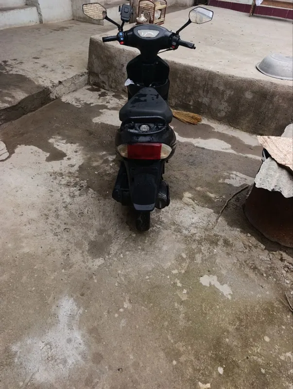 jeyran 80cc