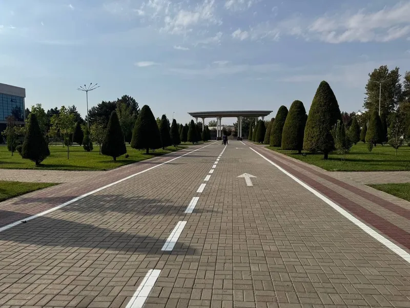 Razmetka yol chiziqlari 5