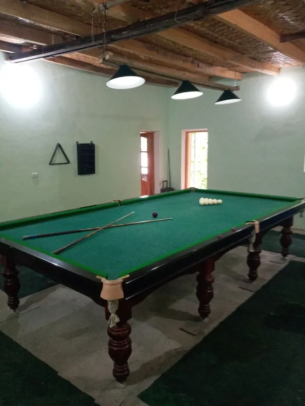 Oila, ufatlar bilan dam olgani dacha