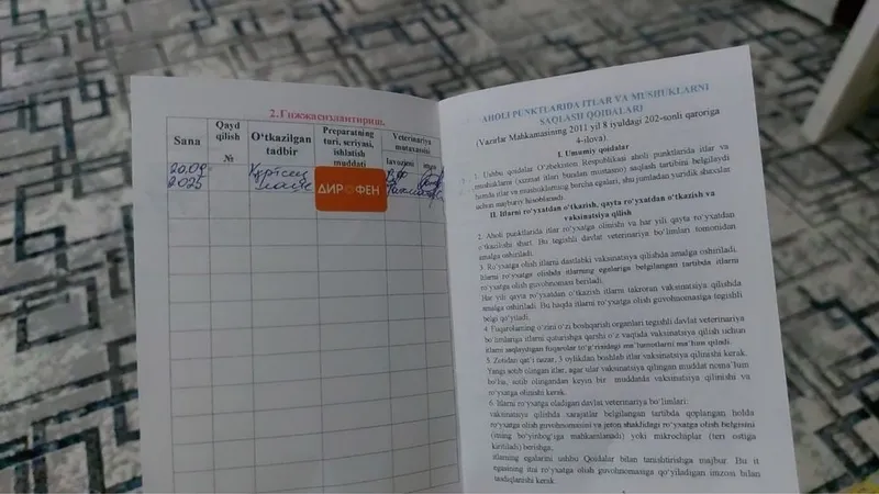 Продаётся собака породы хаски — фото 4