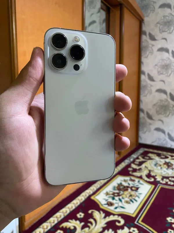 iPhone 13 Pro 256 Gb