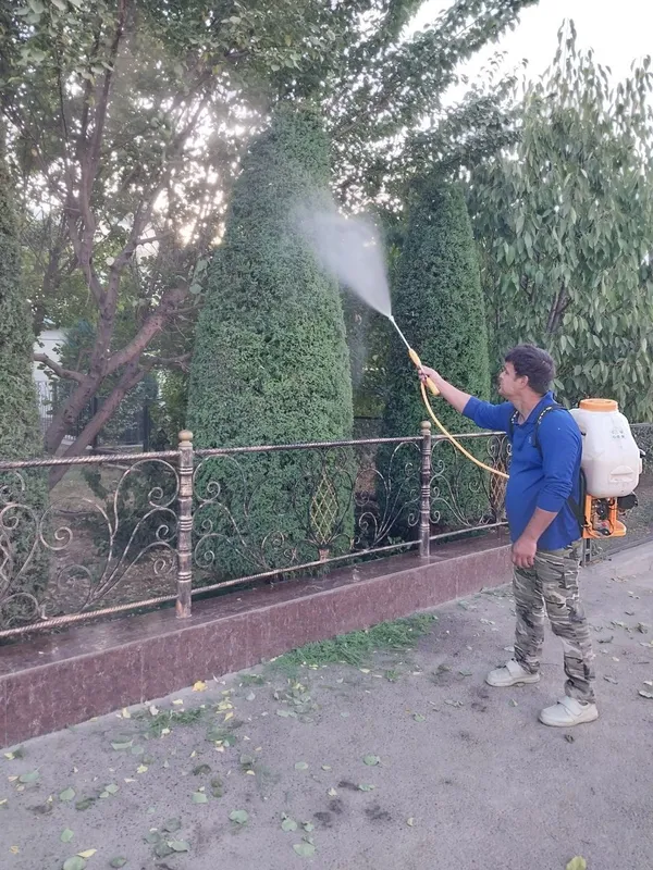 дезифекция дорилаш — фото 3