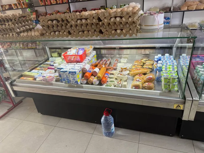 Oziq ovqatlari va gosht Dokonlari uchun Xolodilnik Muzlatgich sotiladi