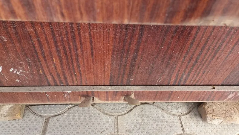 Fortepiano (Belarus) 4 Fortepiano (Belarus) 4
