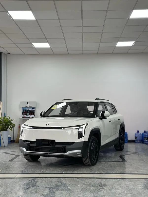 DONGFENG Nammi 06 401km