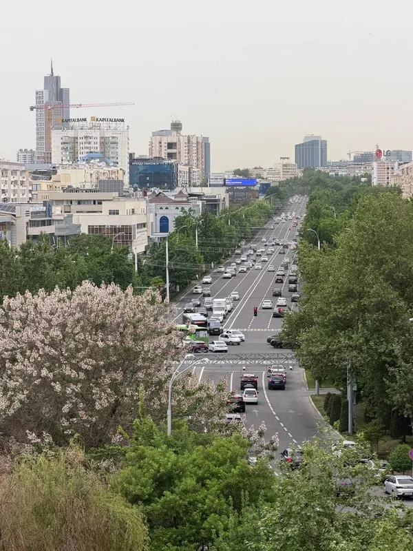 м.Ойбек 4/7/9 Банковский 154м²