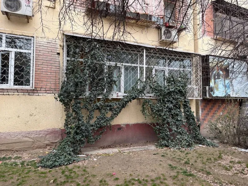 Своя Под офис 1-линия вдоль дороги 1-этаж 5-квартал 3-комн 4
